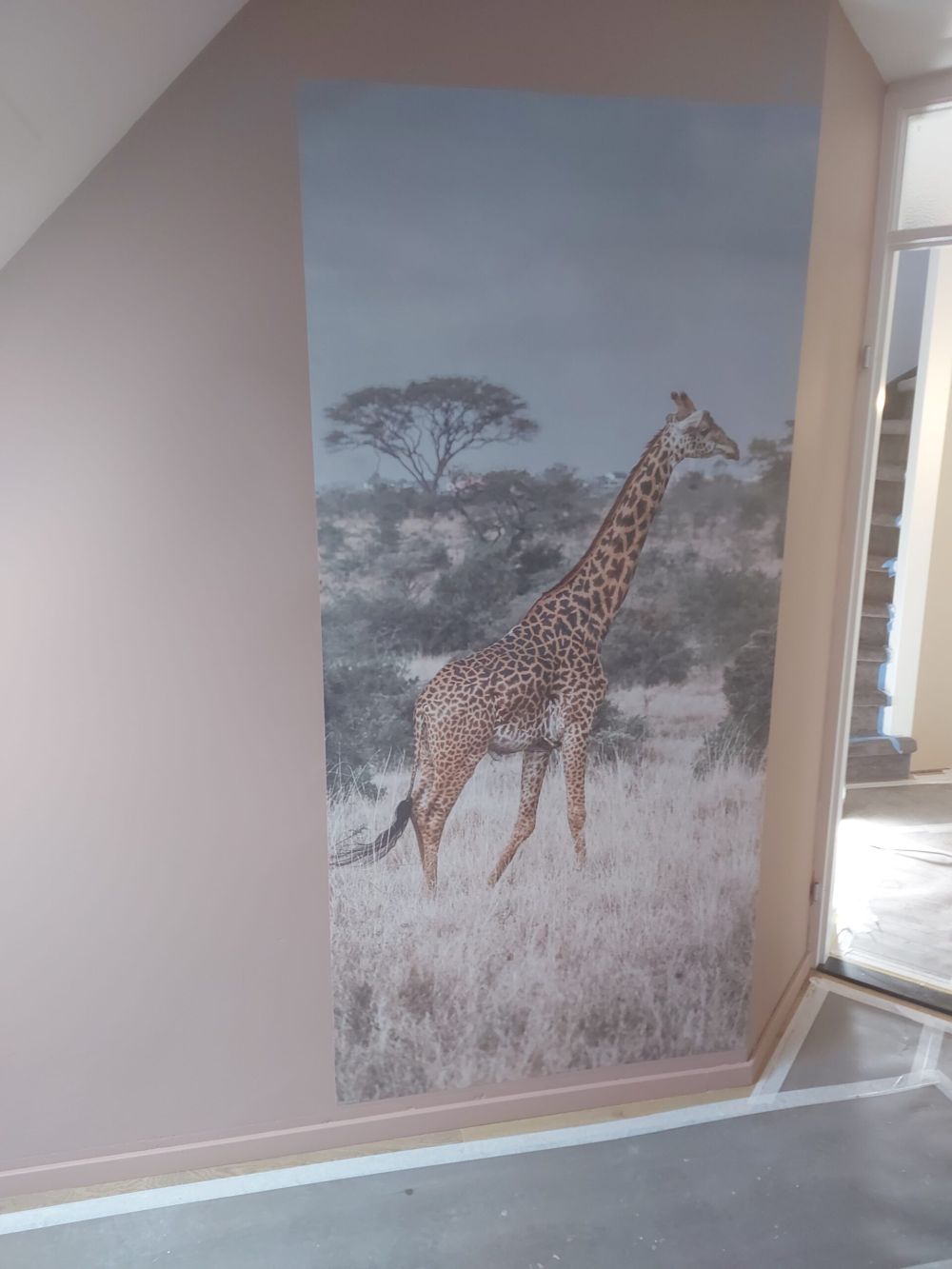 Giraffe portret