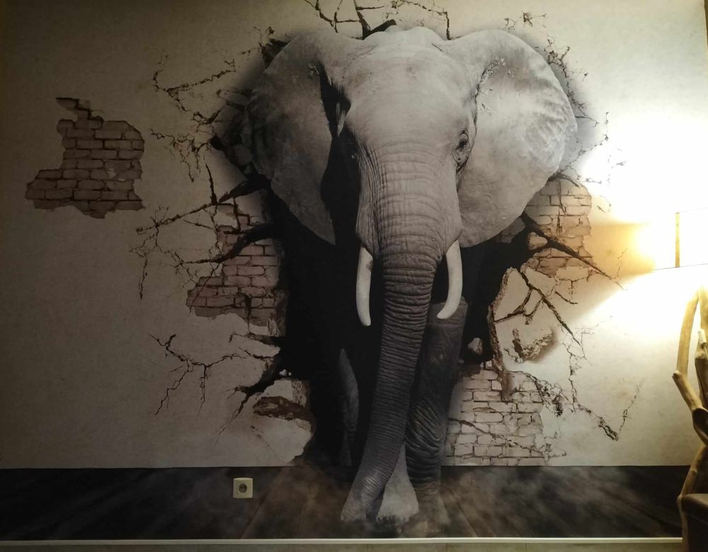 3D Olifant uit de muur