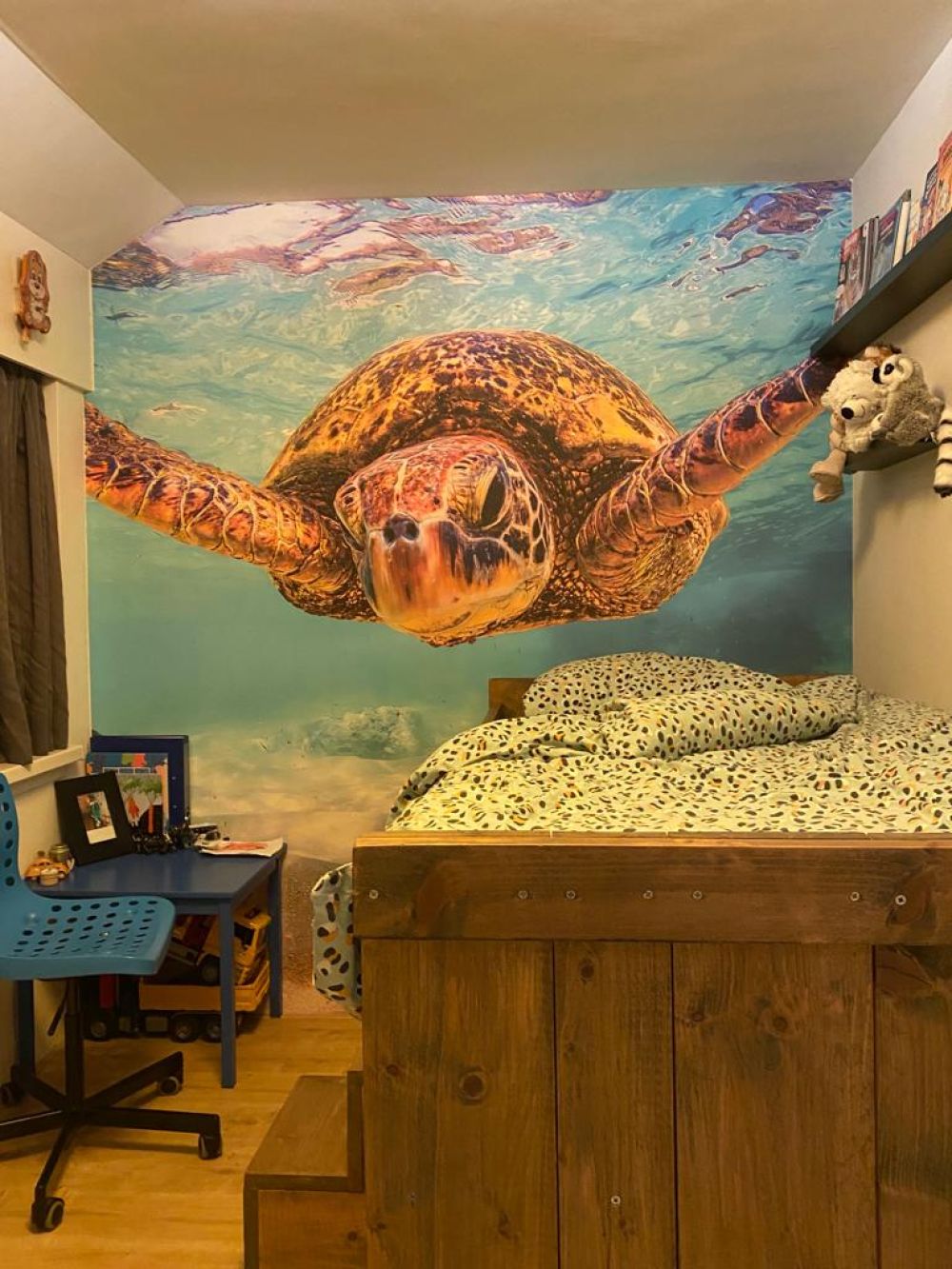 Zeeschildpad in de oceaan