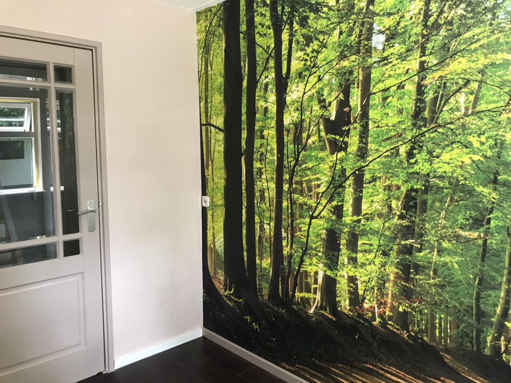 Zonnige weg door een bos