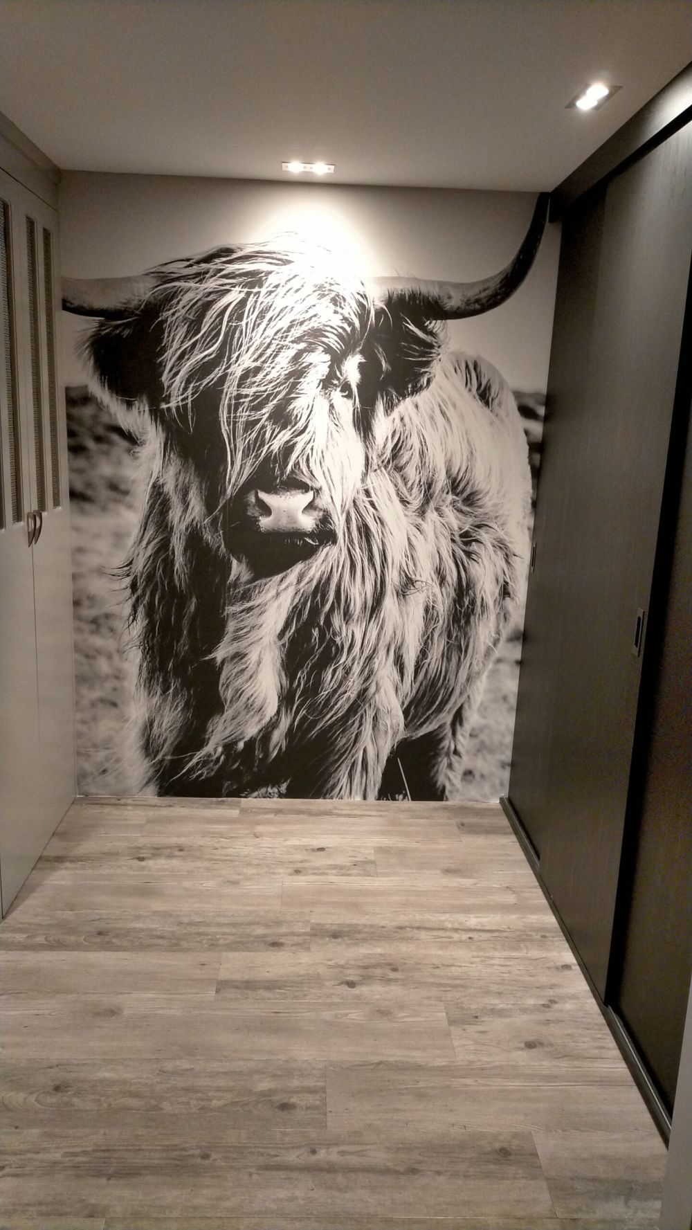 Schotse hooglander in zwart-wit