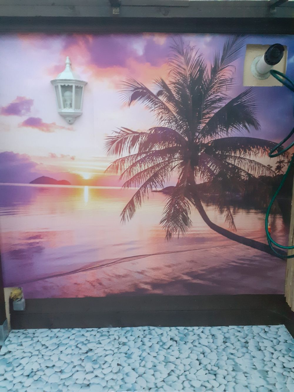 Palmboom bij een zonsondergang