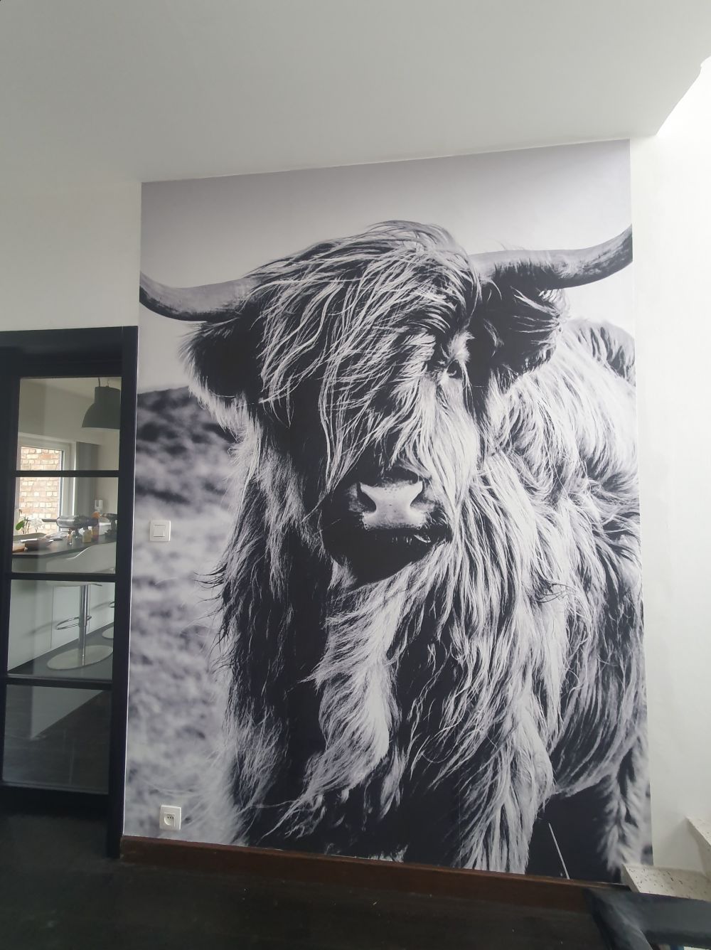 Schotse hooglander in zwart-wit