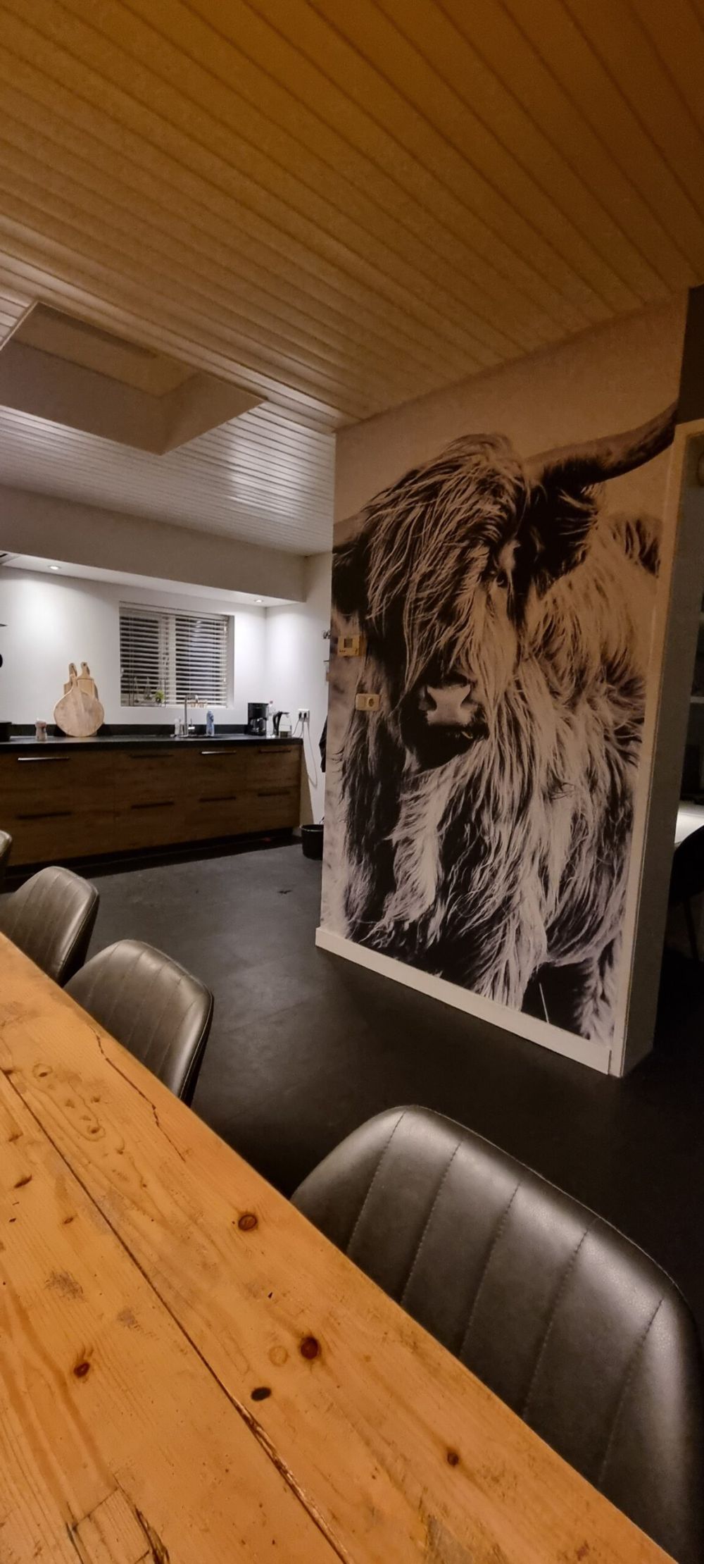 Schotse hooglander in zwart-wit