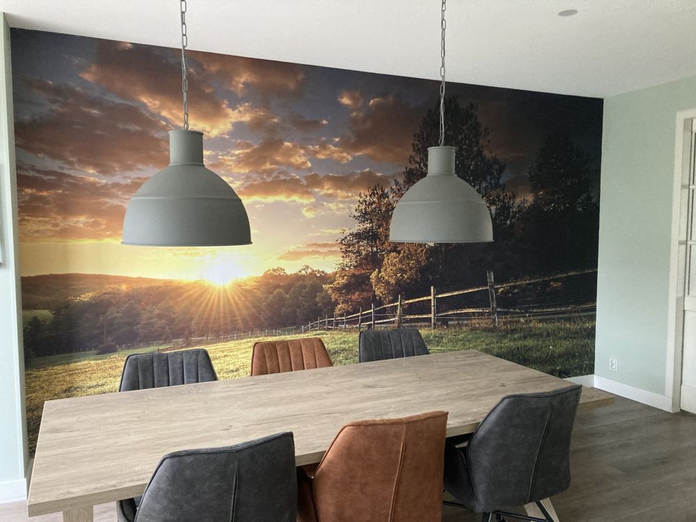Weiland met zonsondergang