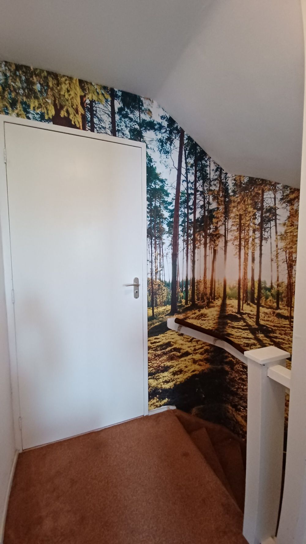 Dennenbos