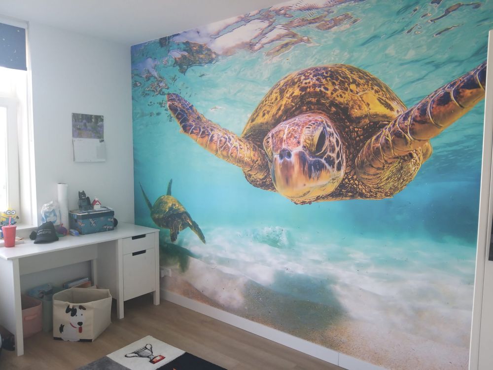 Zeeschildpad in de oceaan
