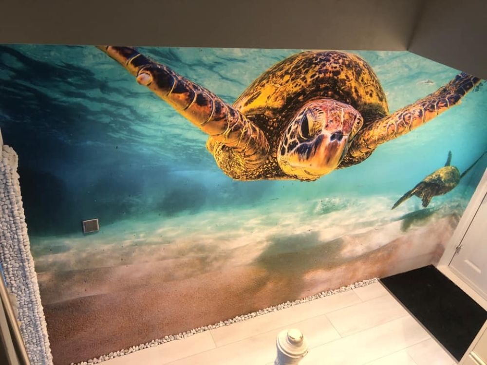 Zeeschildpad in de oceaan