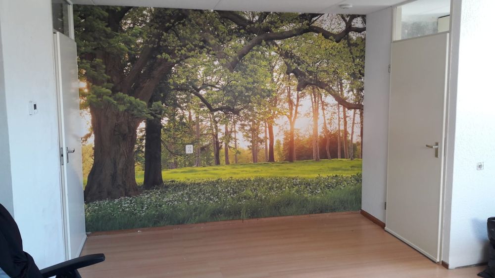 Fotobehang van een open plek in het bos