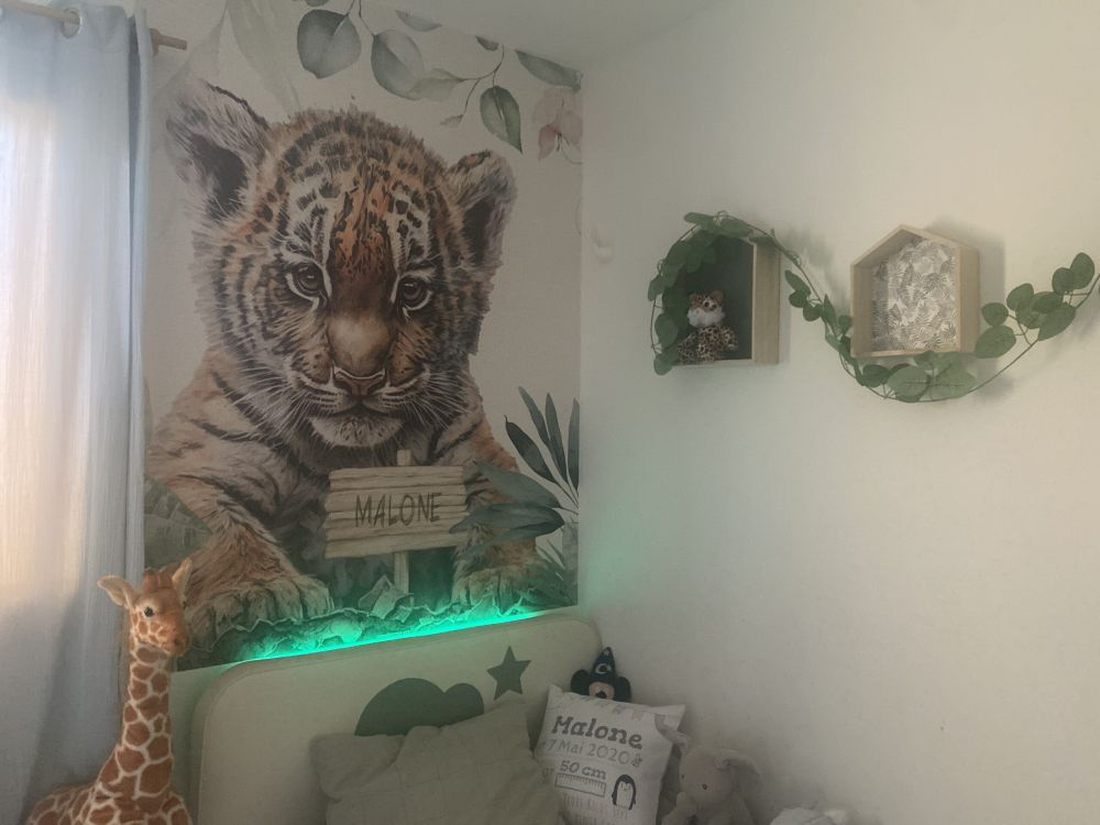 Schattige tijger met planten
