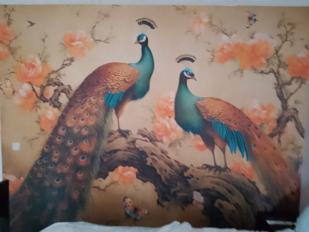Pauwendans in Bloesemgloed
