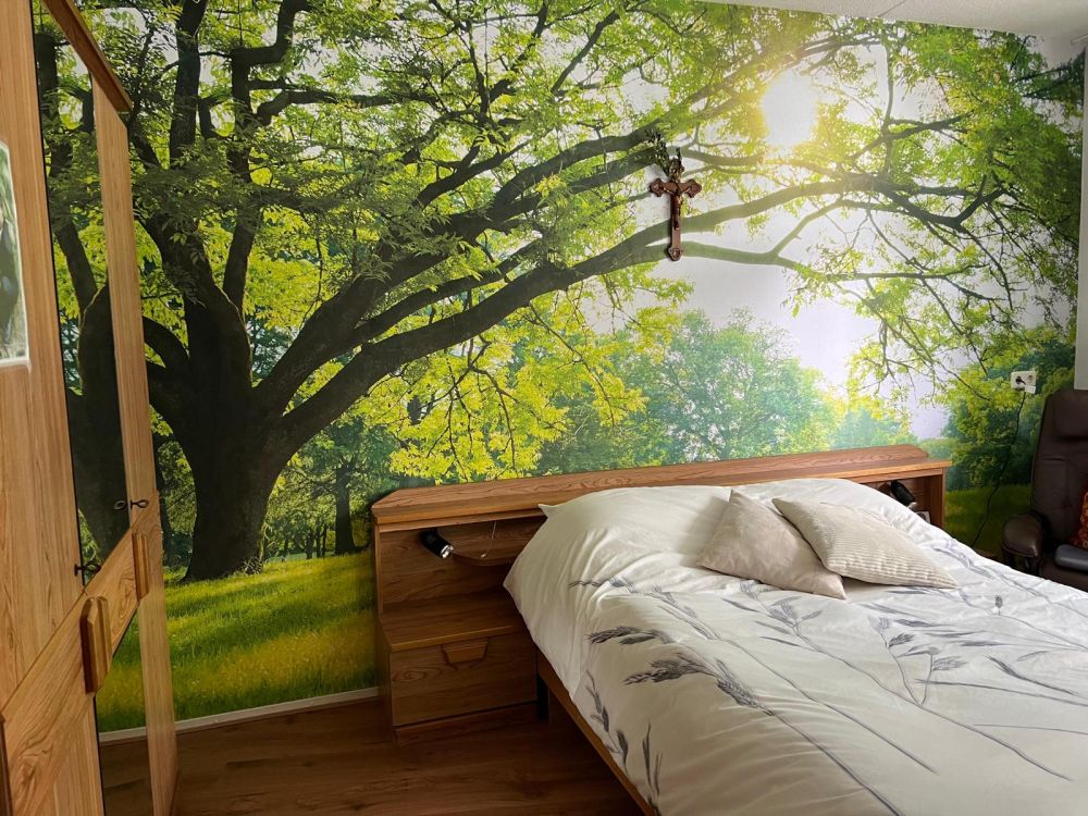 Prachtige boom met groen gras