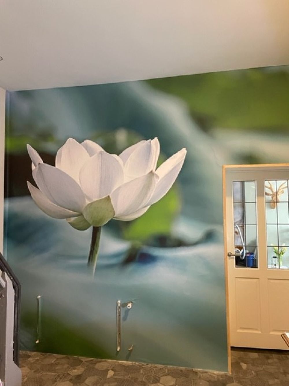 Witte lotusbloem