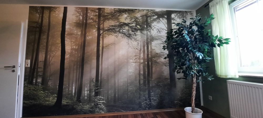 Groen bos in de mist