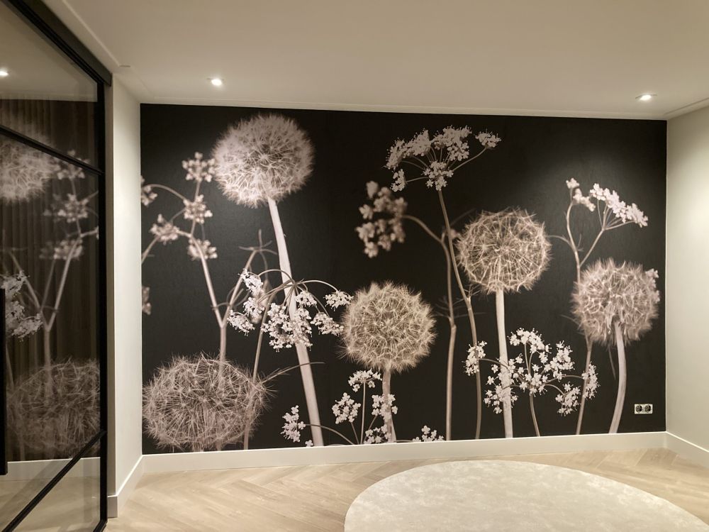 Meadow fantasie