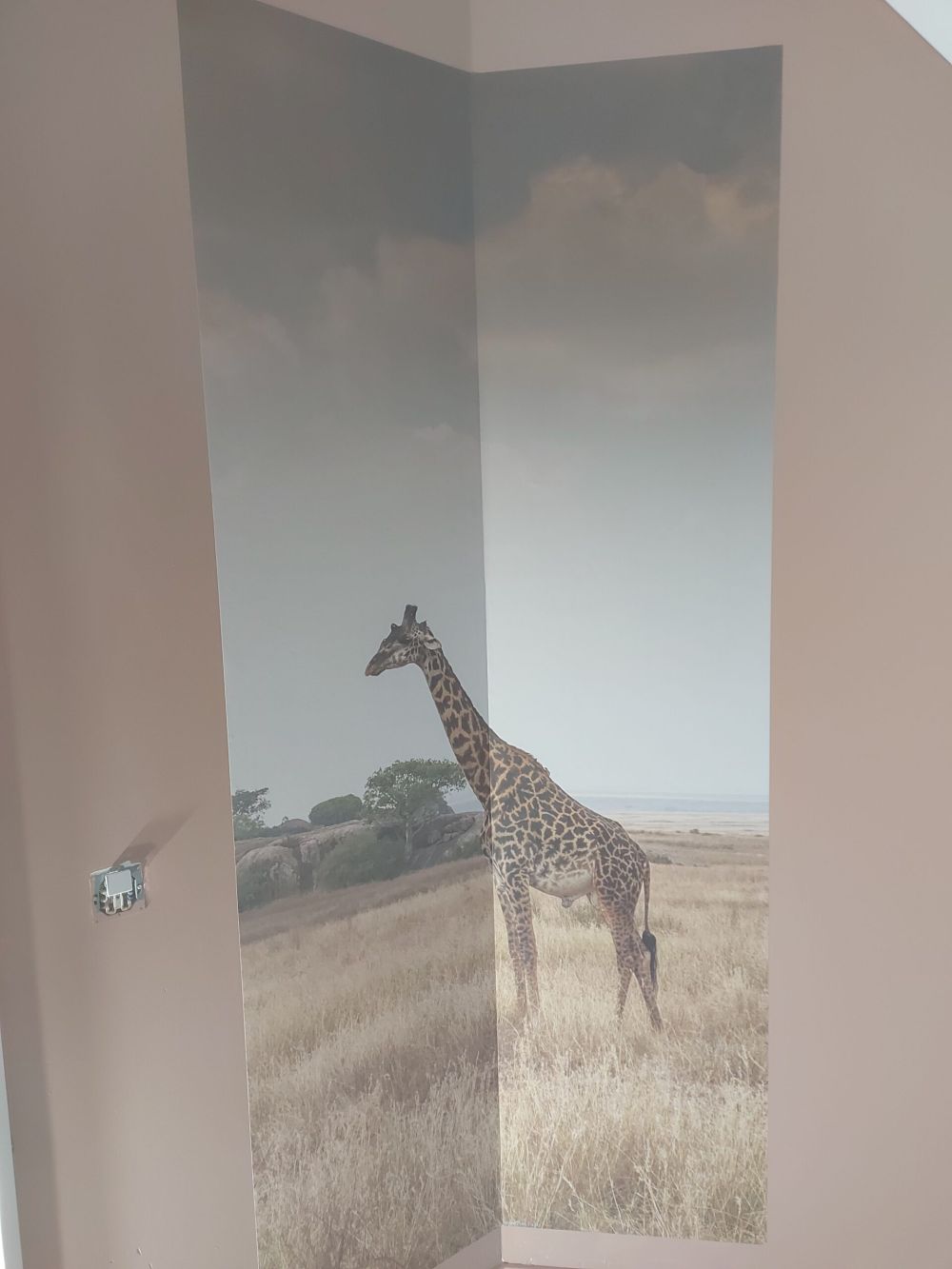 Giraffe op een savanne