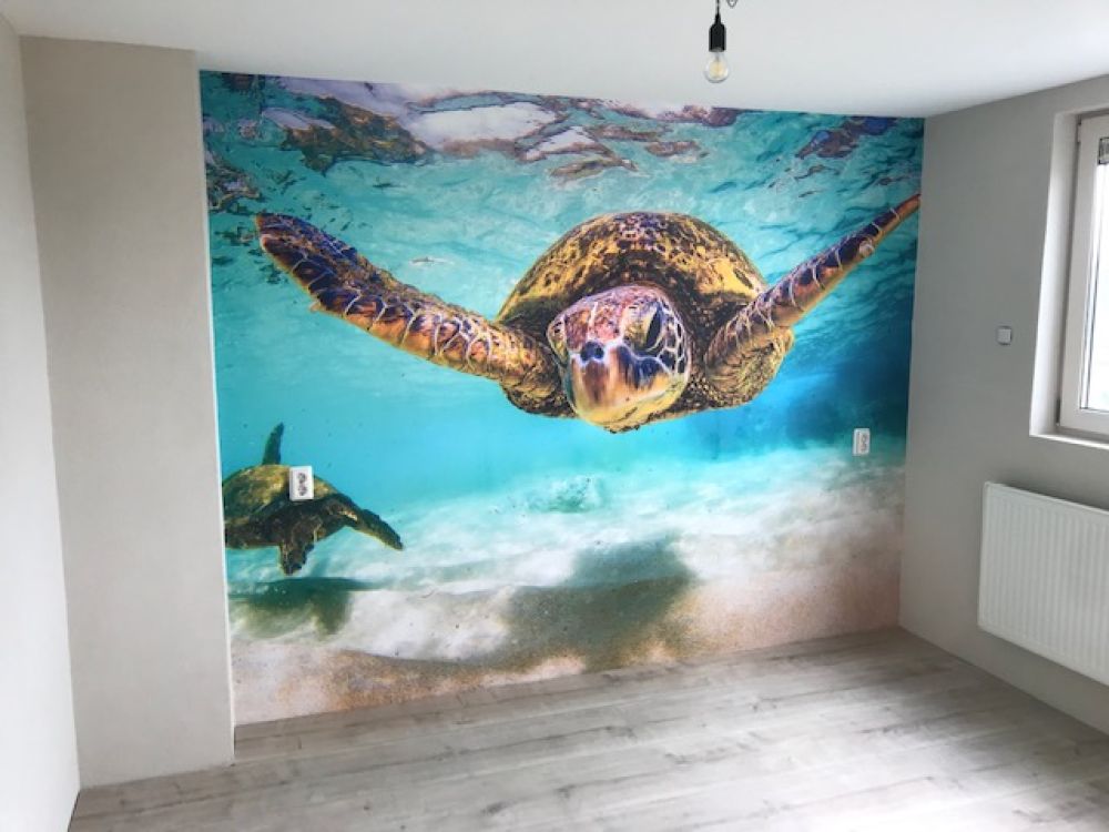 Zeeschildpad in de oceaan