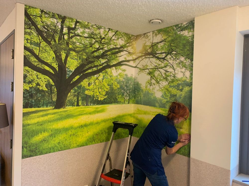 Prachtige boom met groen gras