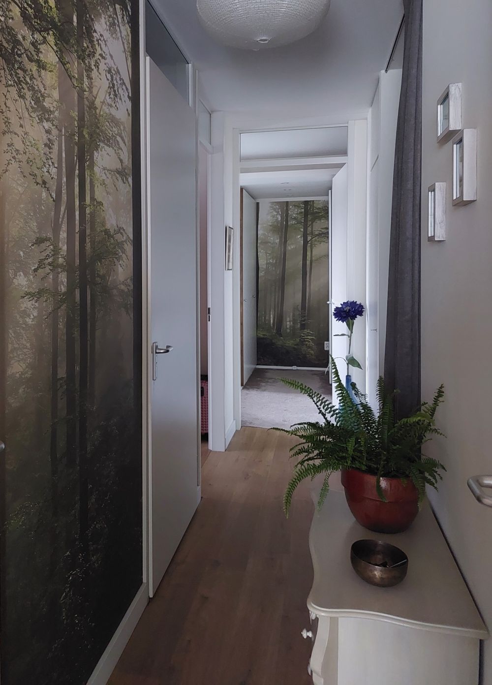 Groen bos in de mist