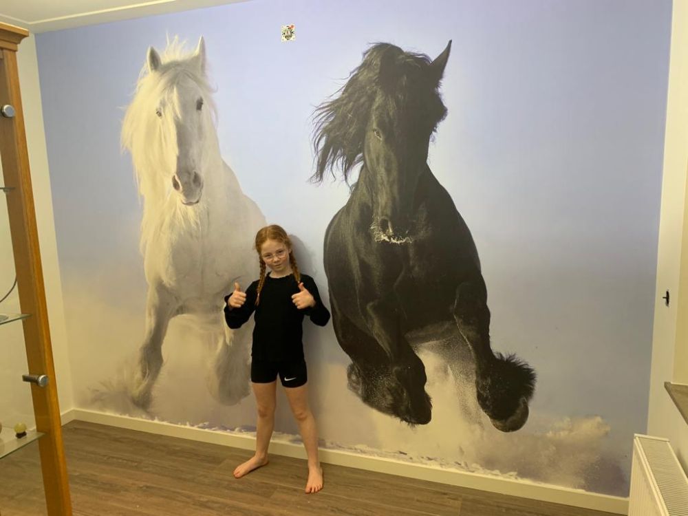 Wit en een zwart paard
