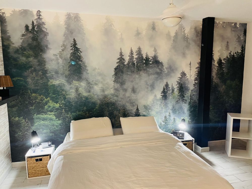 Mistig landschap met groene bomen
