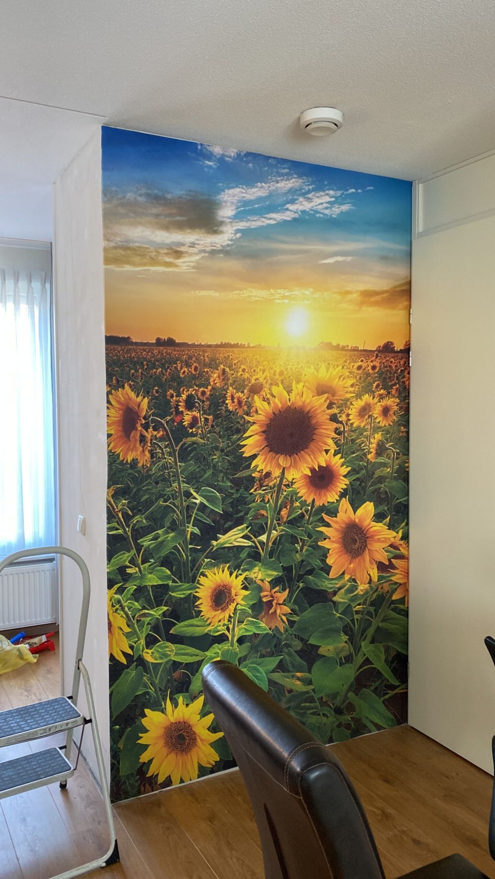 Prachtig veld zonnebloemen