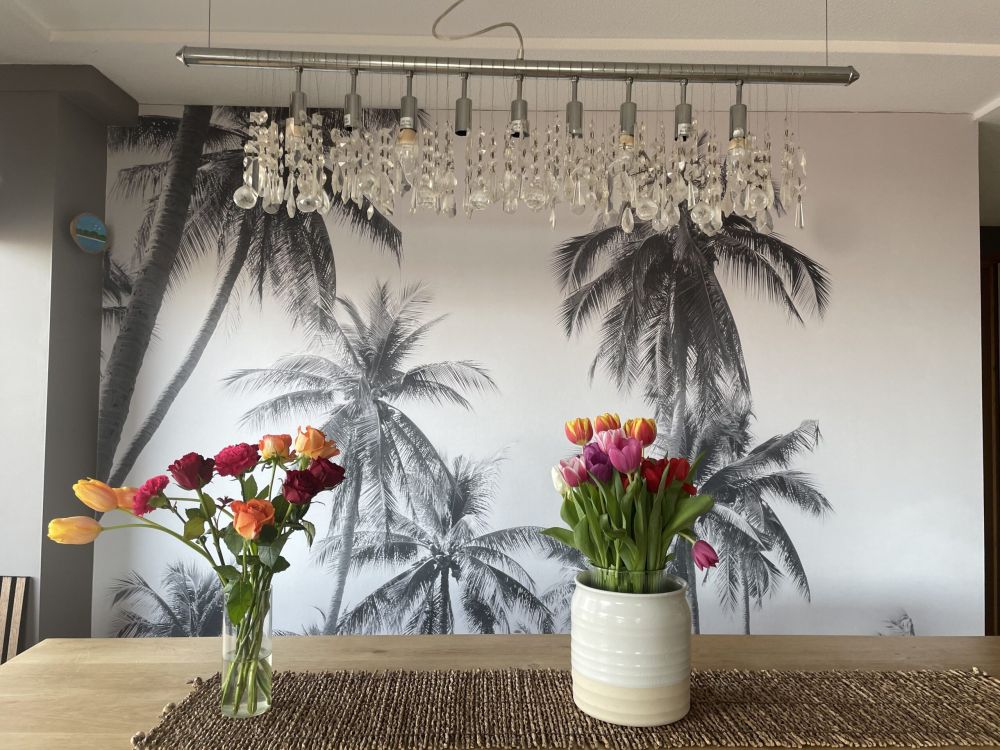 Palmbomen in zwart-wit
