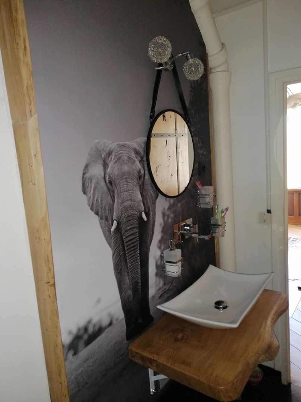 Olifant in de zonsondergang