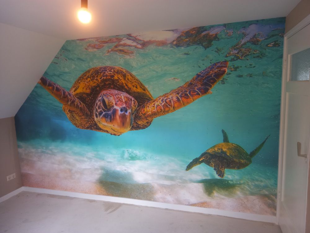 Zeeschildpad in de oceaan