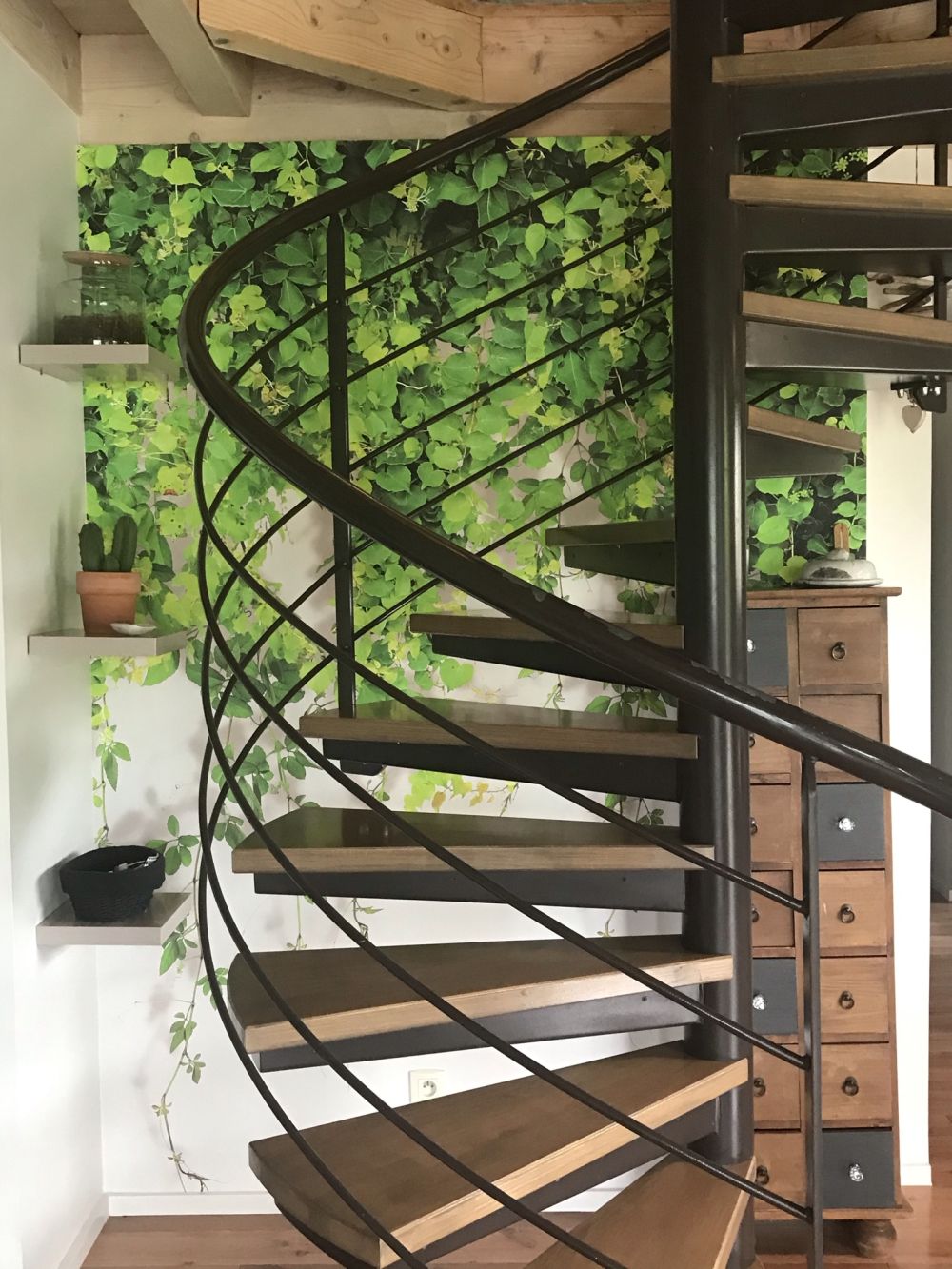 Groene hangende takken