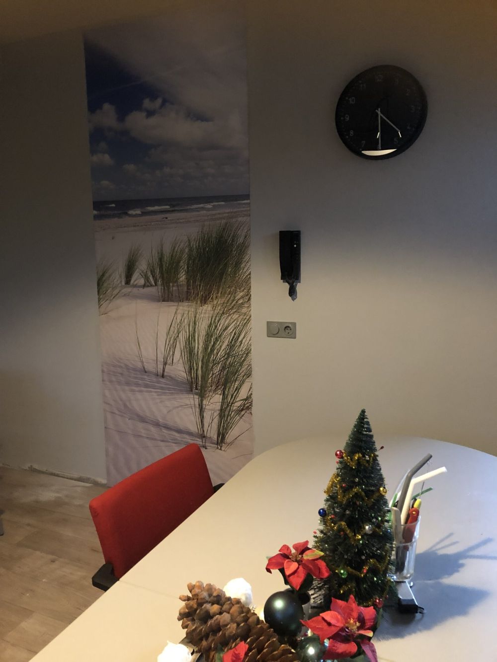 Strand met duinplanten