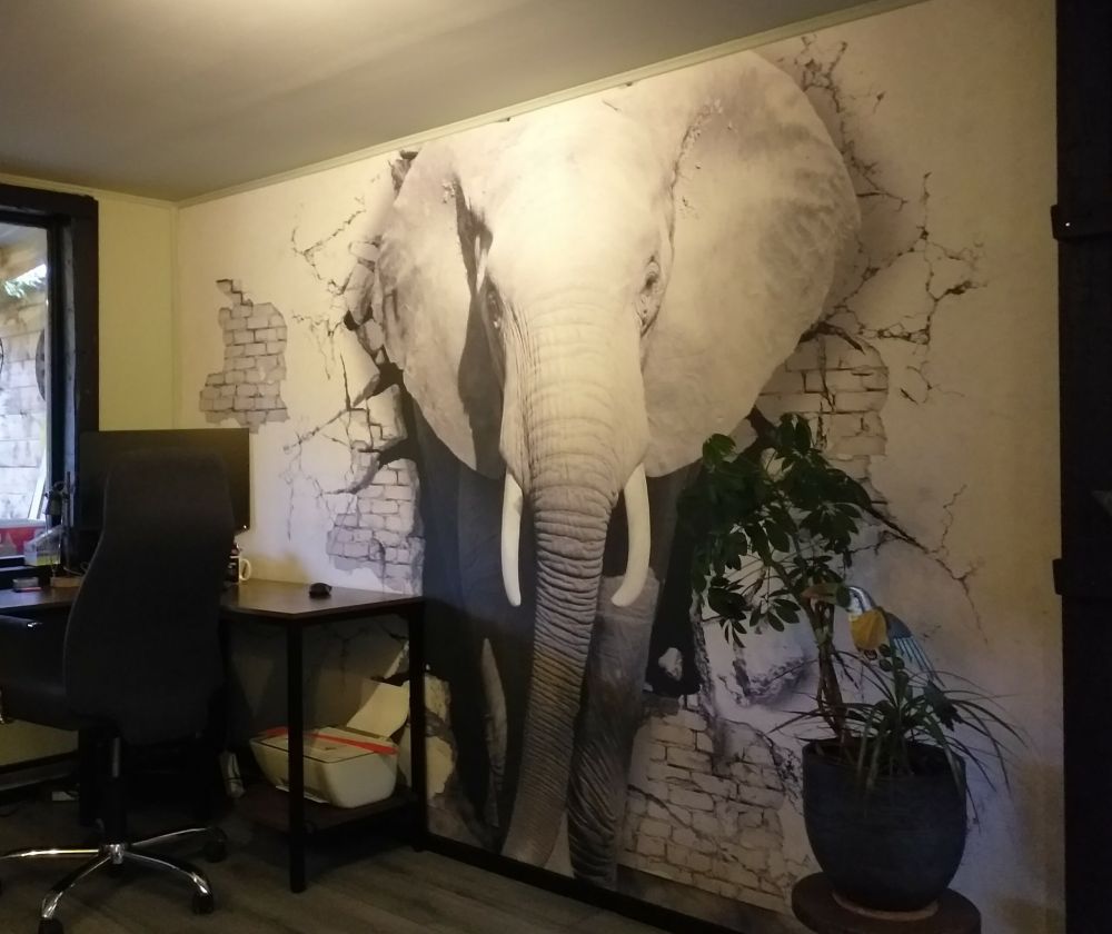 3D Olifant uit de muur