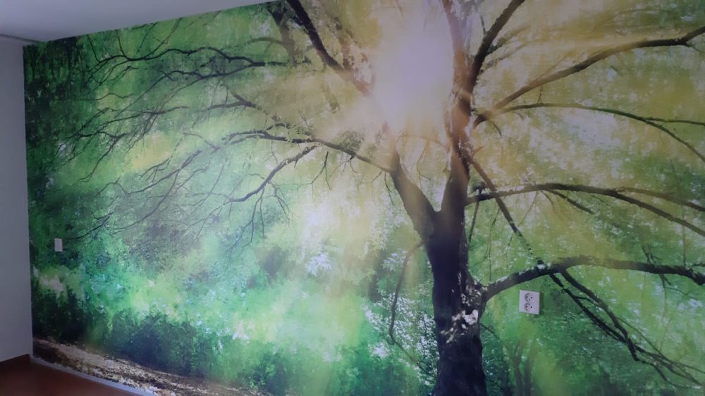 Grote boom met zon