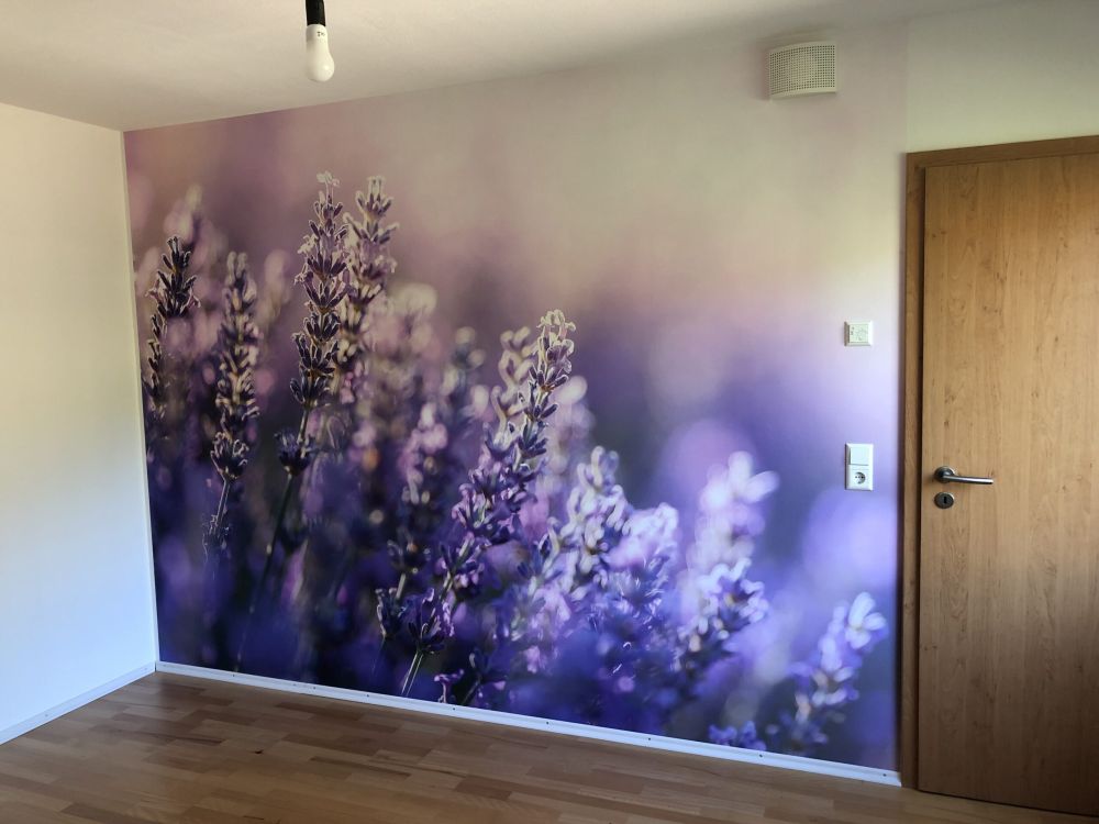 Dromerig lavendel