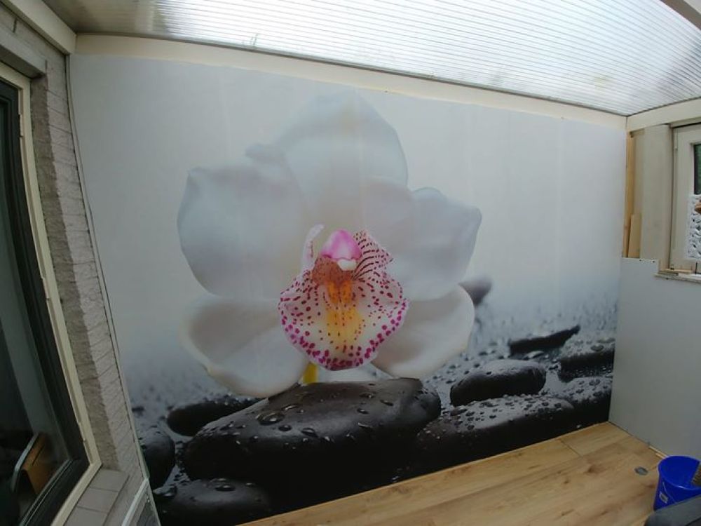 Witte orchidee