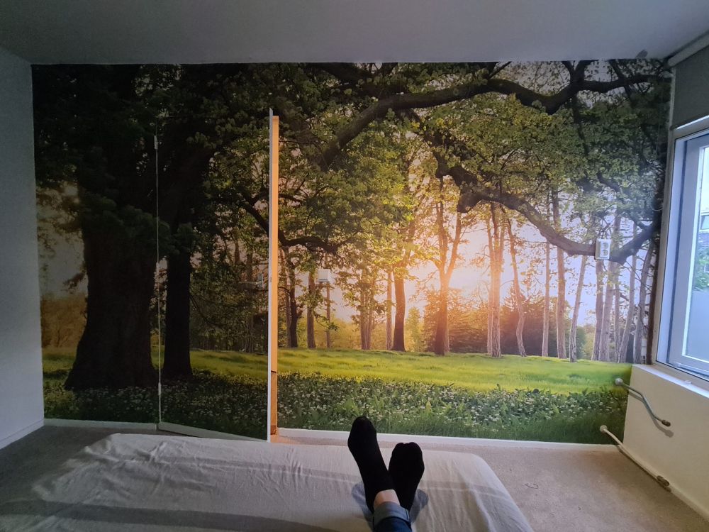 Fotobehang van een open plek in het bos
