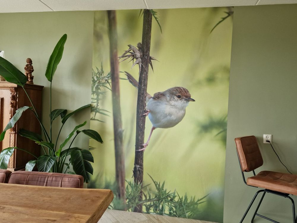 Vogel op een tak