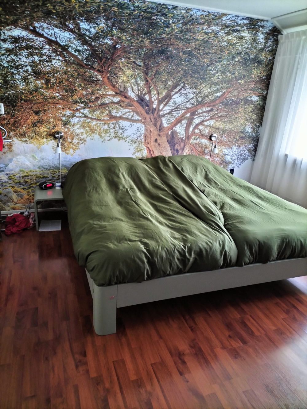 Oude olijfboom