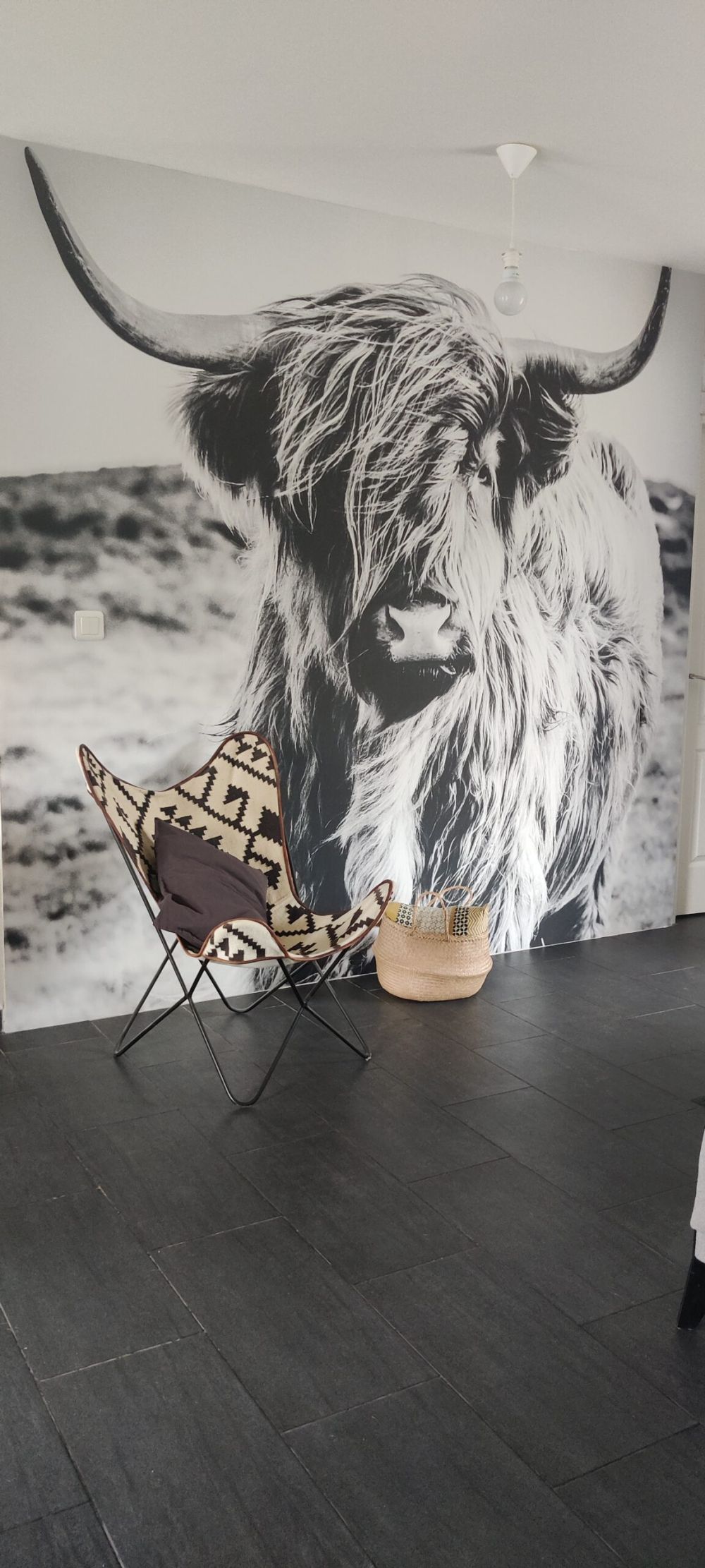 Schotse hooglander in zwart-wit