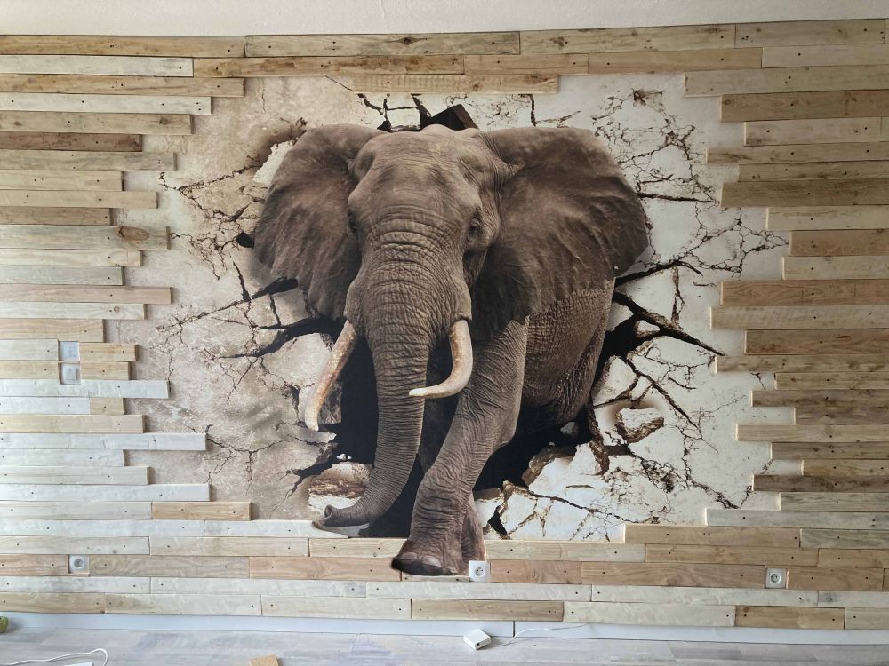 Grote olifant uit de muur