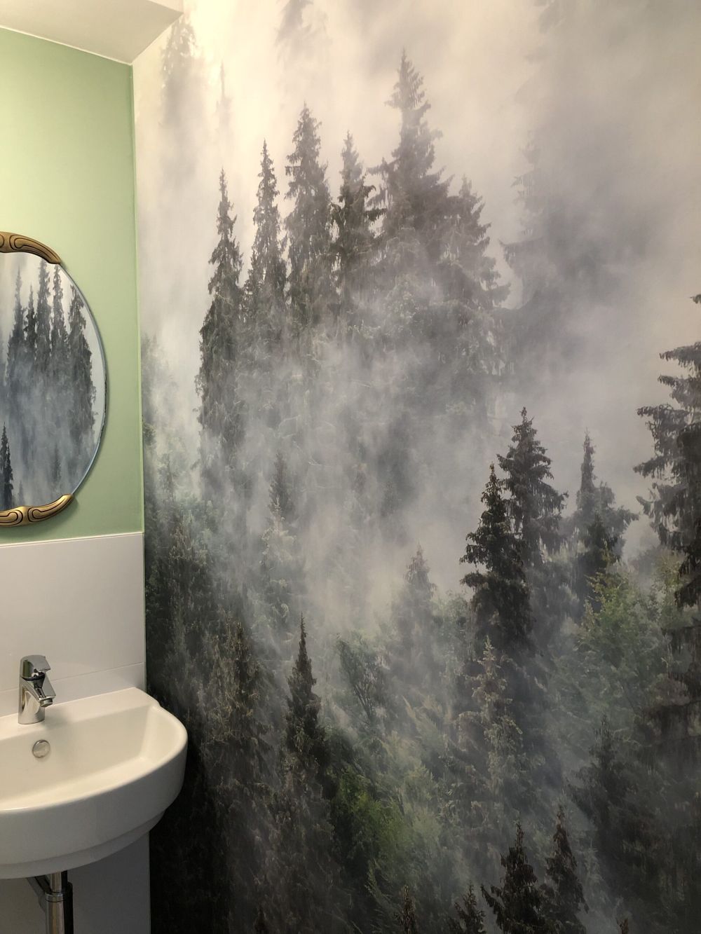 Mistig landschap met groene bomen
