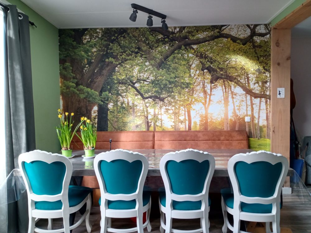 Fotobehang van een open plek in het bos
