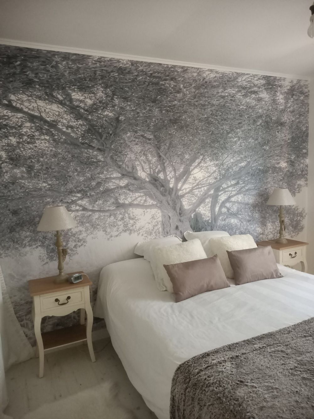 Oude olijfboom