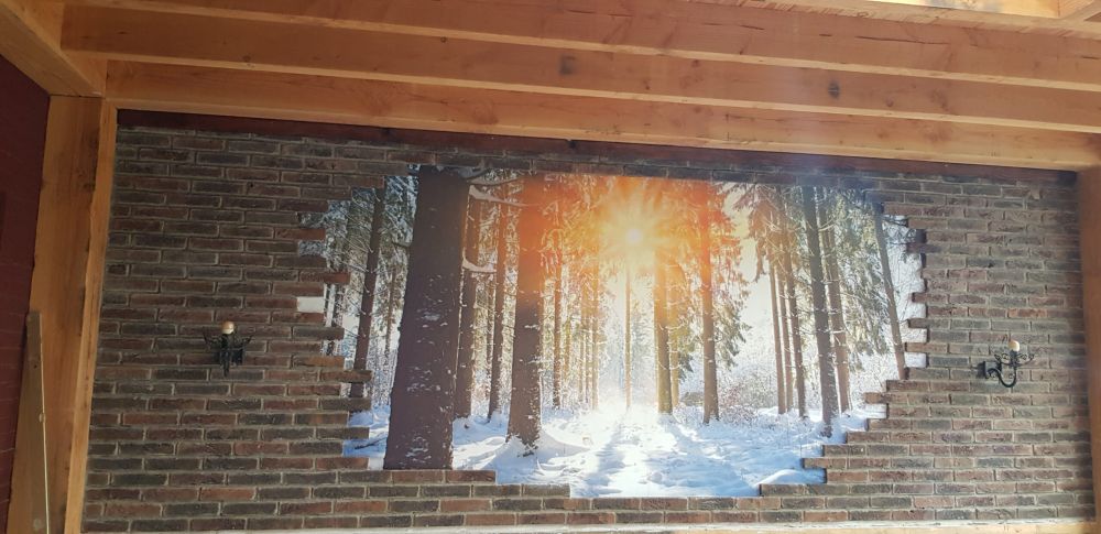 Zonlicht in het winterbos