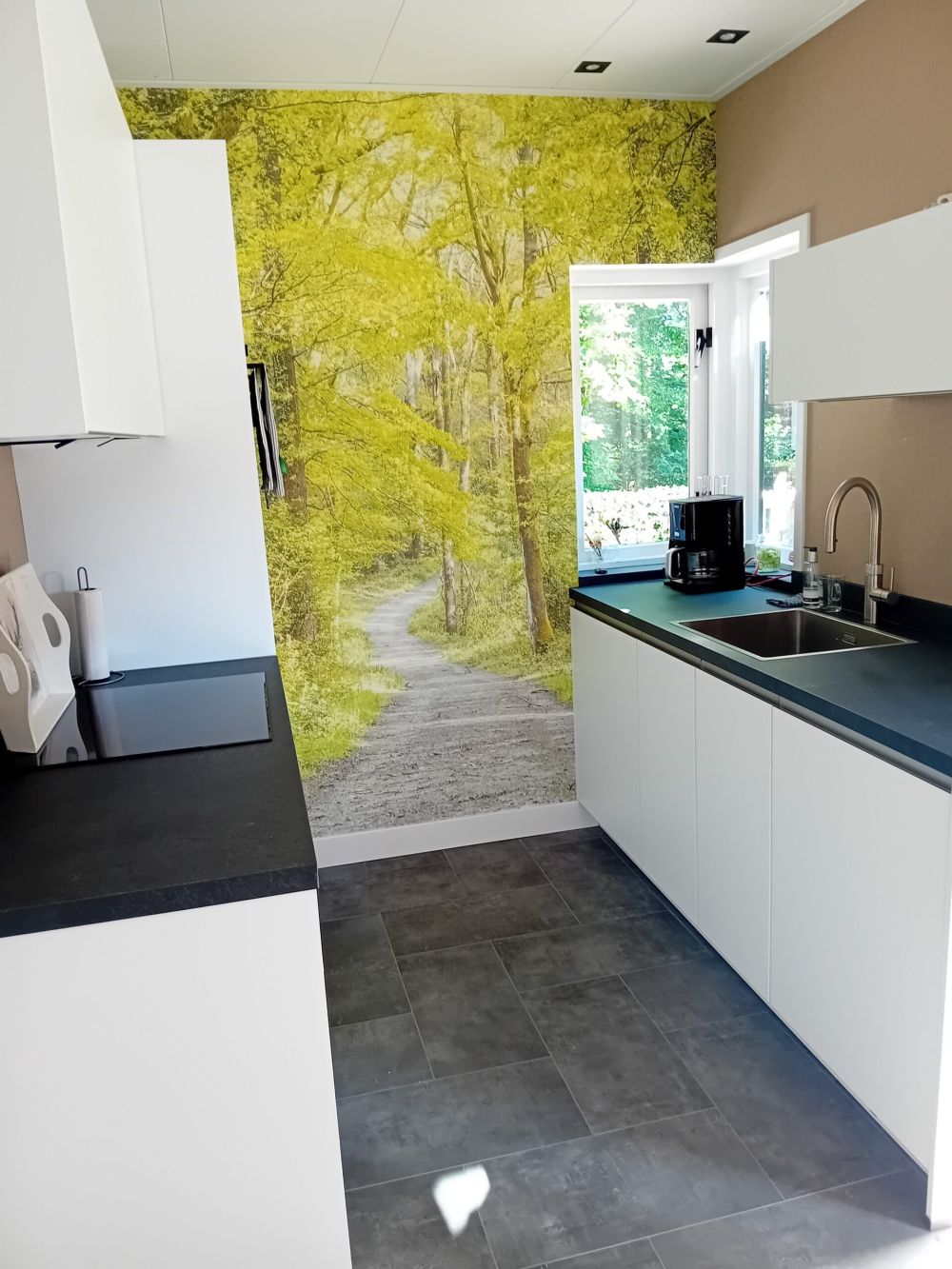 het groene bos