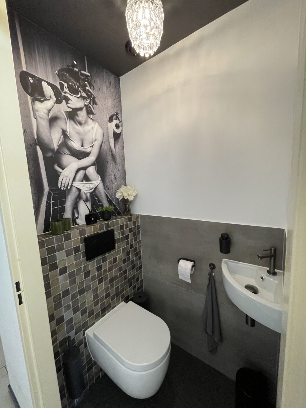 Vrouw op toilet