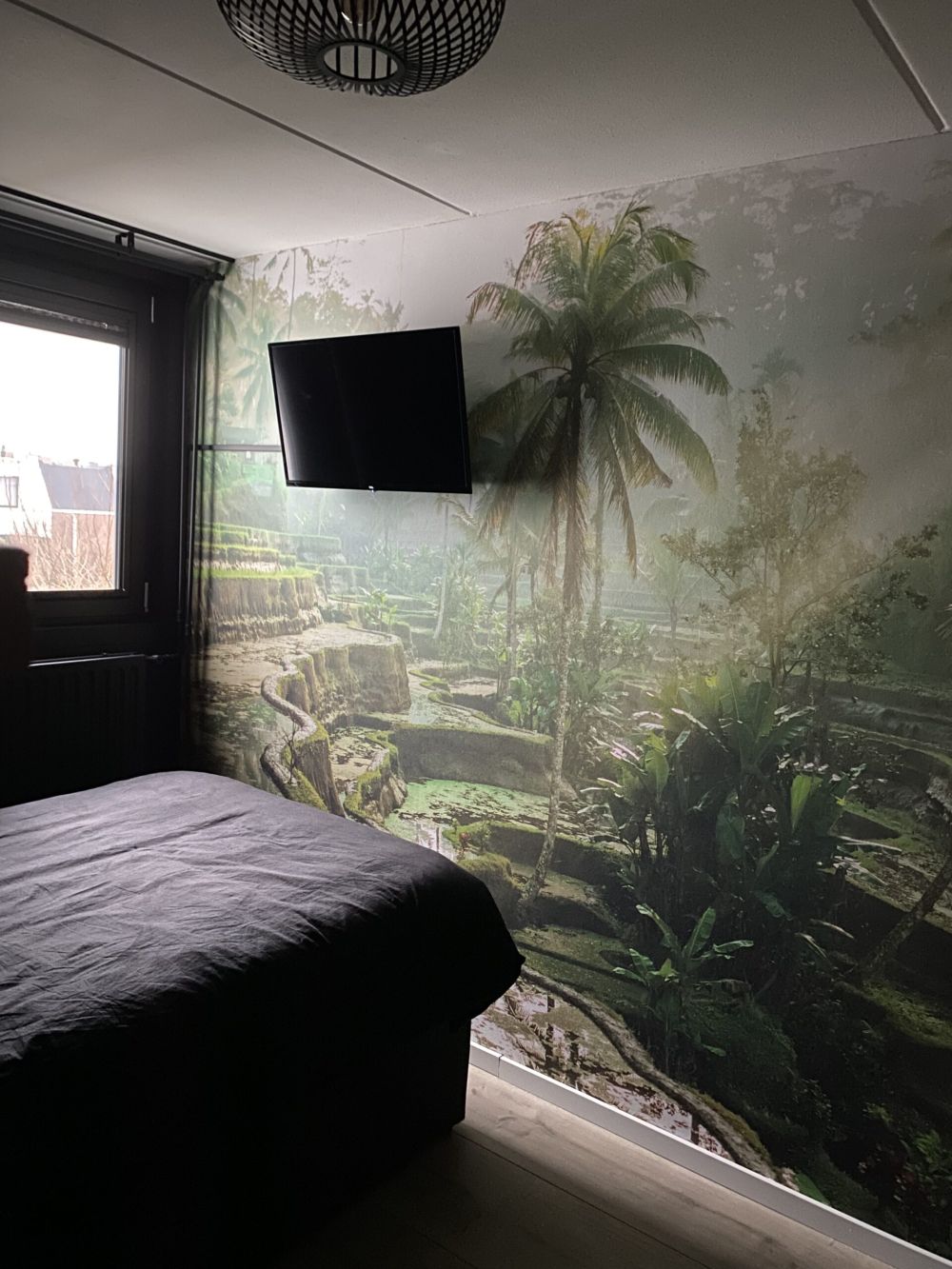 Rijstvelden in de jungle