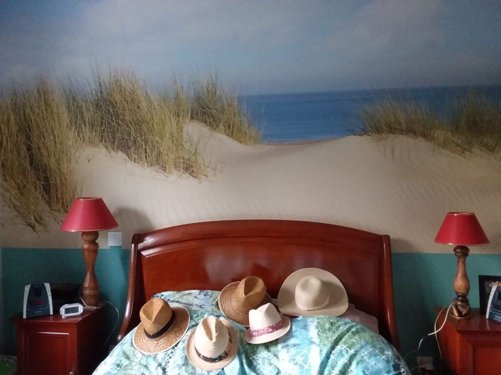 Duin doorgang naar het strand