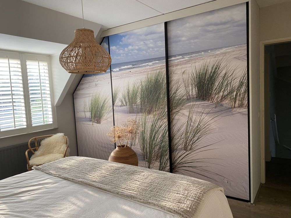 Strand met duinplanten
