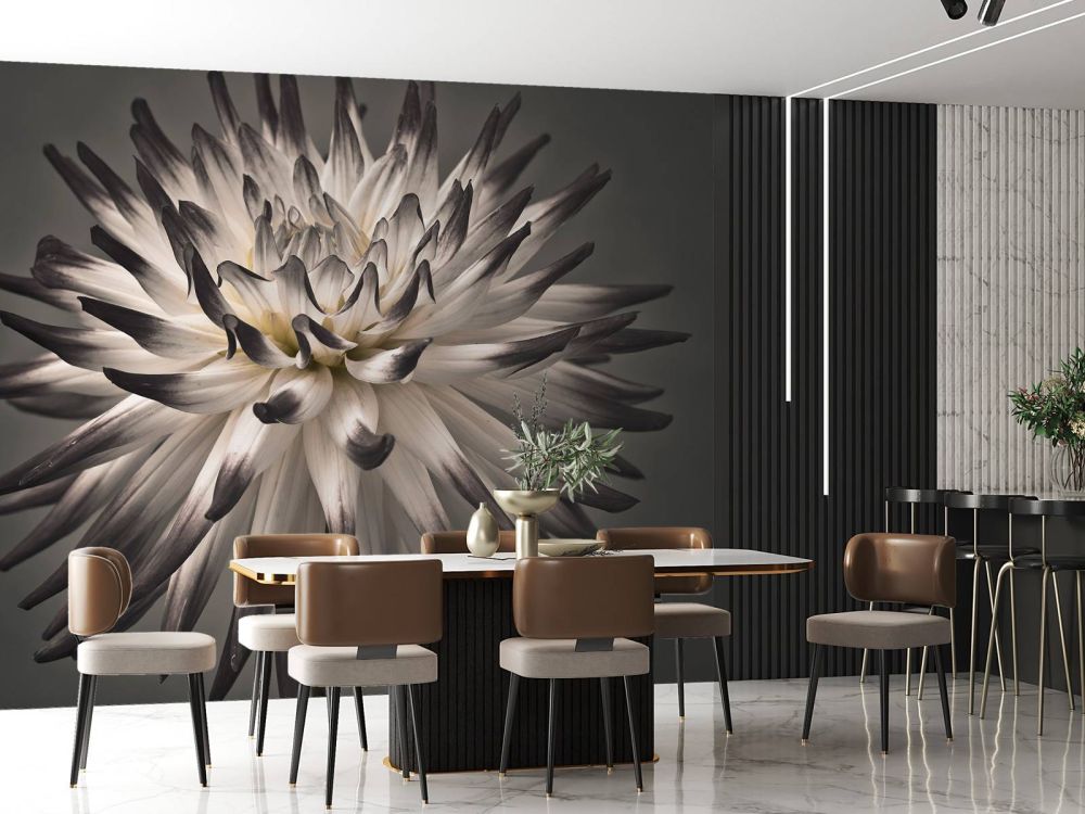 Dahlia bloem zwart wit
